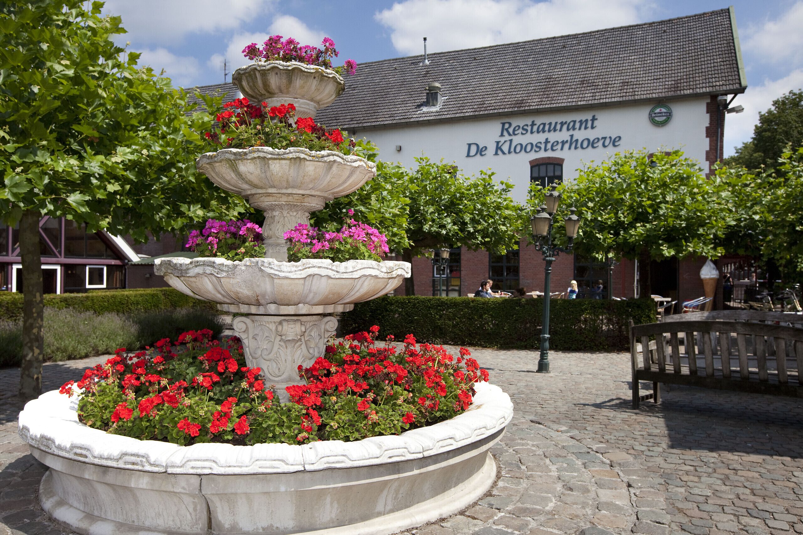 Terrein van de accommodatie