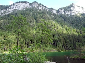 A forested area with a lake and mountains in the background.