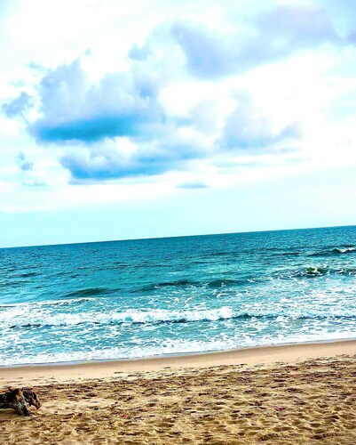 The Paradise Beach Resort and Apartment 