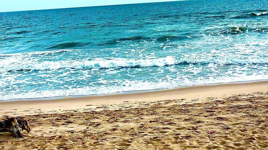 The Paradise Beach Resort and Apartment