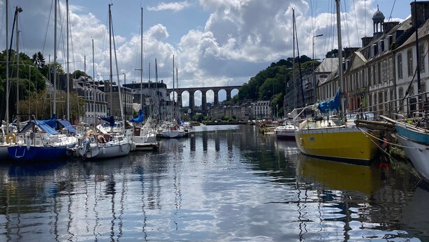 Ein Yachthafen mit mehreren Segelbooten, eine Brücke im Hintergrund und Gebäude entlang des Ufers.