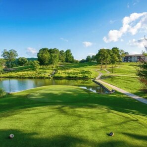 Golf - Gated Resort- Golf, Pools, Pickleball, 3 King Beds (Branson)