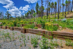 A natural landscape with a variety of vegetation, including grass, shrubs, and trees. There are wooden structures that appear to be part of a garden or park.