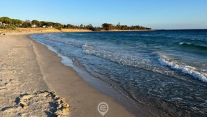 Une plage à l’eau d’un bleu limpide, avec un rivage sablonneux et une ligne d’arbres qui se dessine à l’horizon.