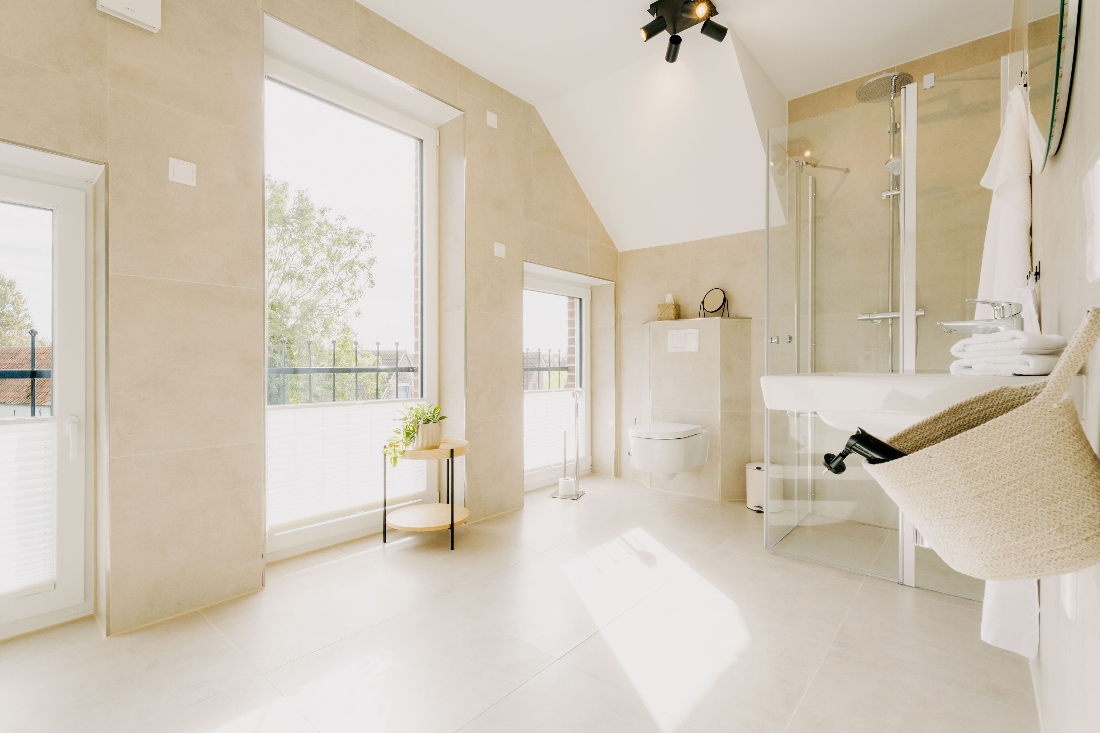 Shower, hair dryer, towels