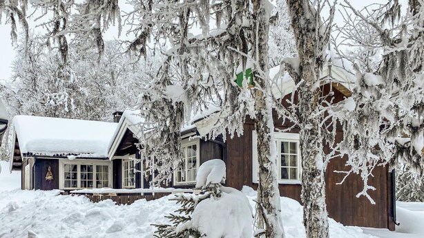 A cabin surrounded by snow-covered trees. - Nice home in Gol with kitchen (Gol)