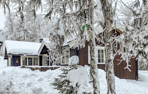 Nice home in Gol with kitchen