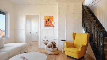 Smart TV, DVD player, books, stereo