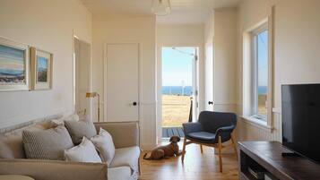 Smart TV, DVD player, books, stereo