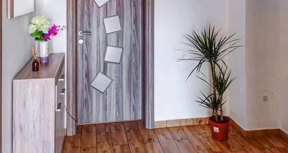 4 bedroom nice home in Smoljanac