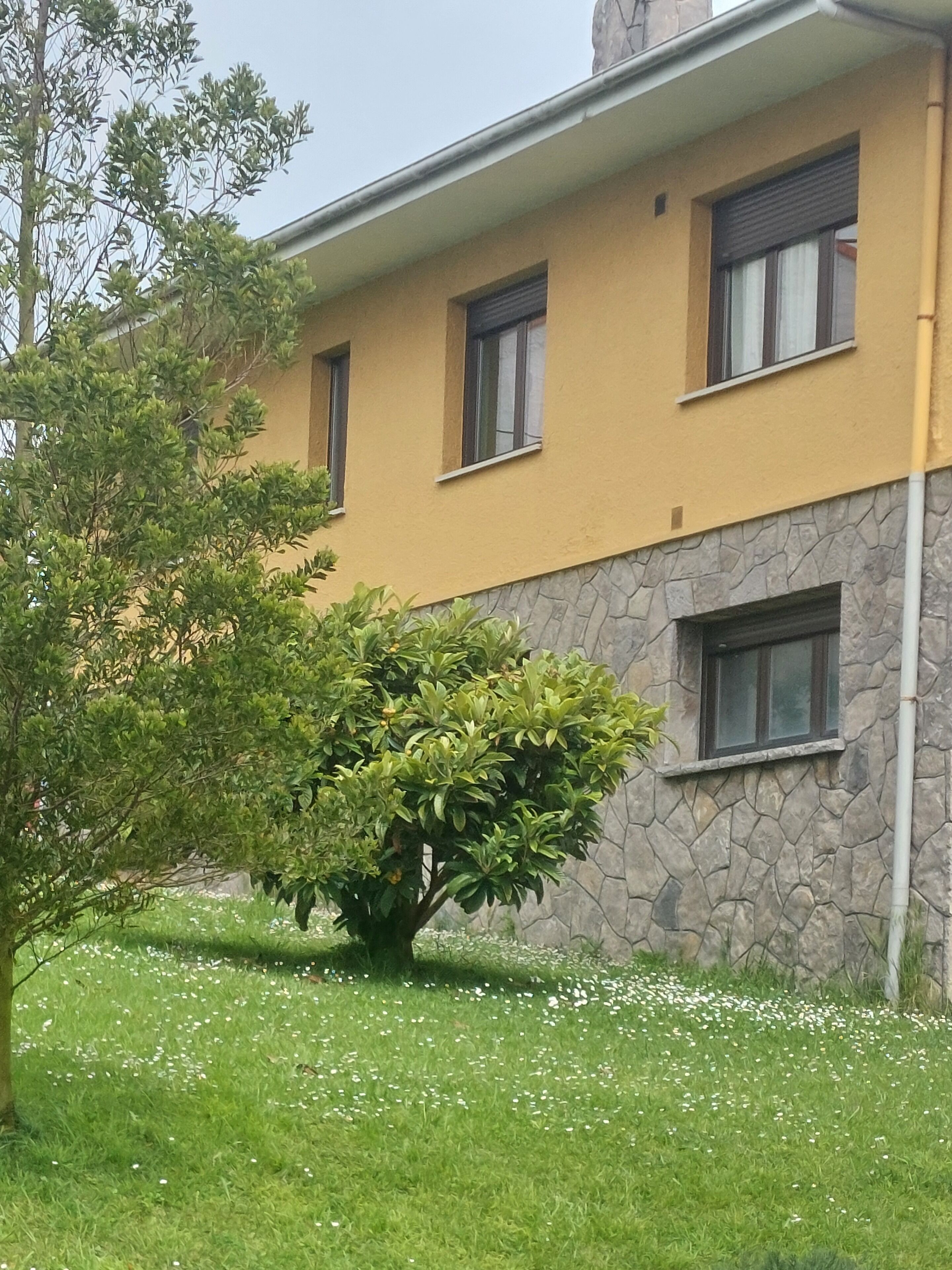 Foto - Hotel Villanueva San Jorge de Heres