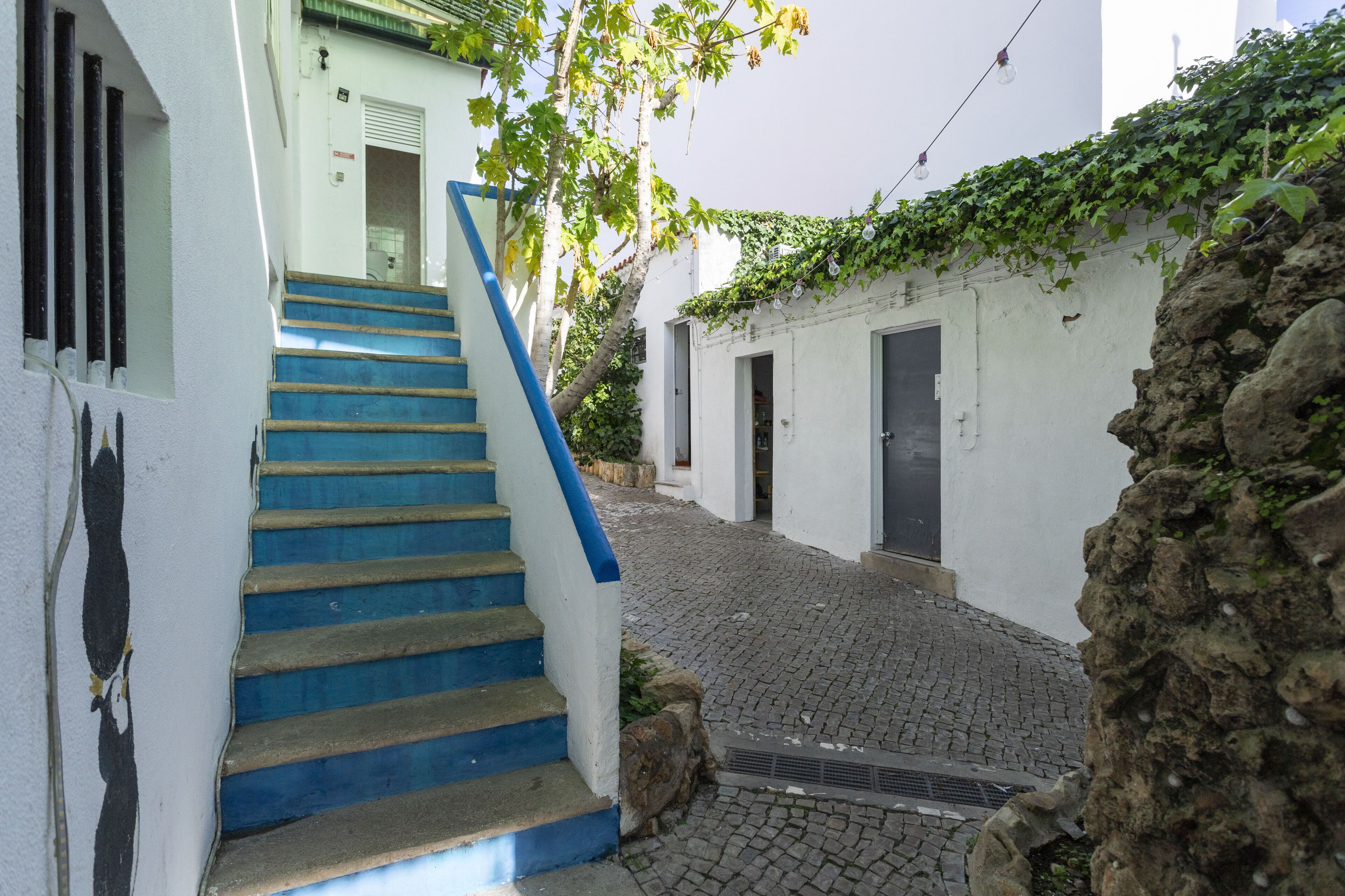 Foto - Le Penguin Hostel