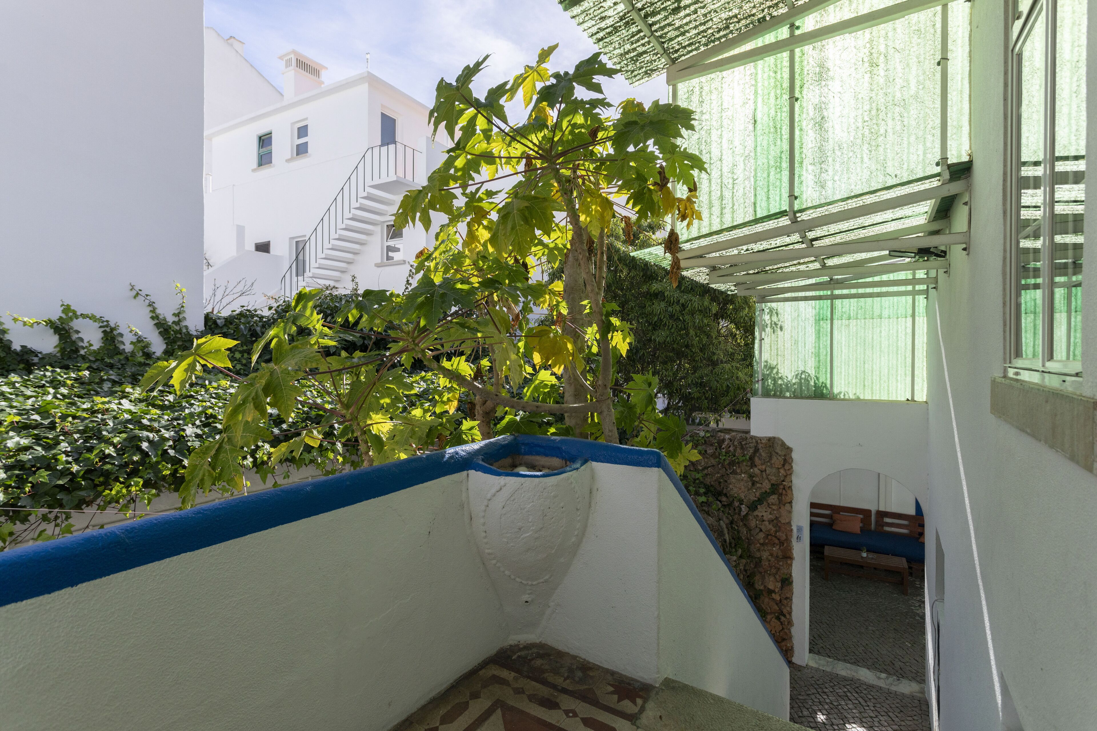 Foto - Le Penguin Hostel