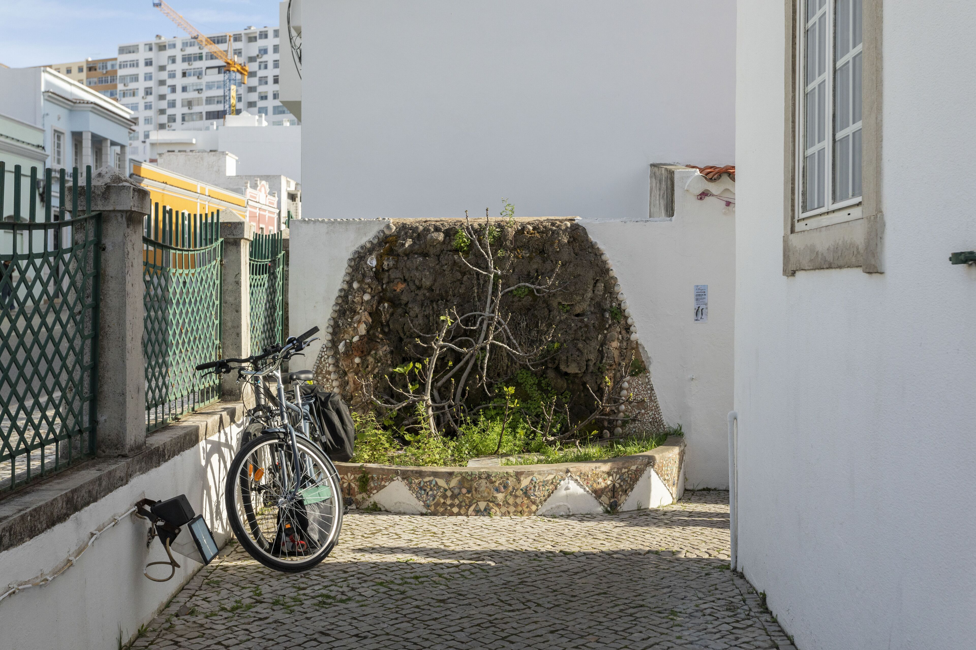 Foto - Le Penguin Hostel