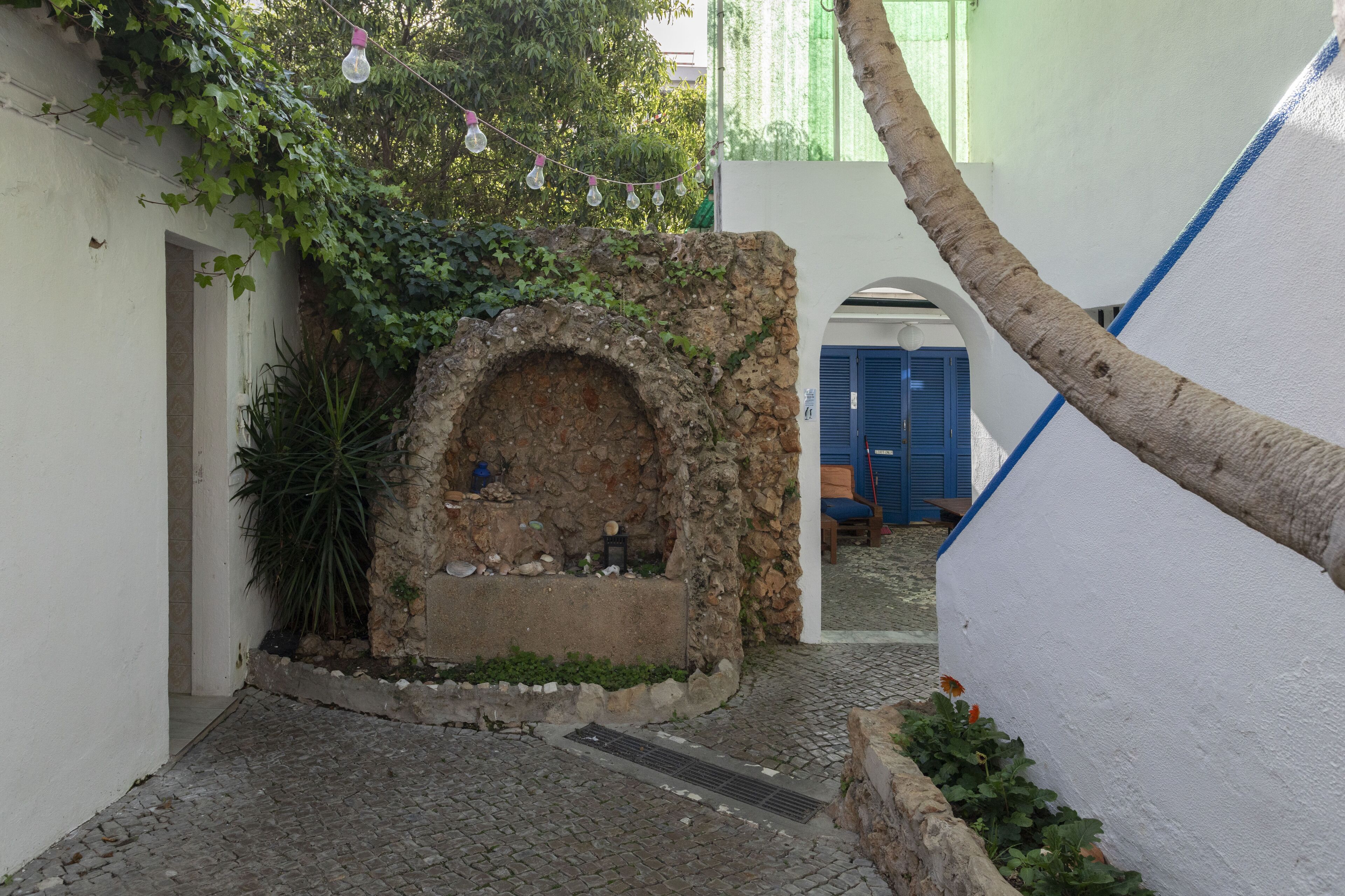 Foto - Le Penguin Hostel