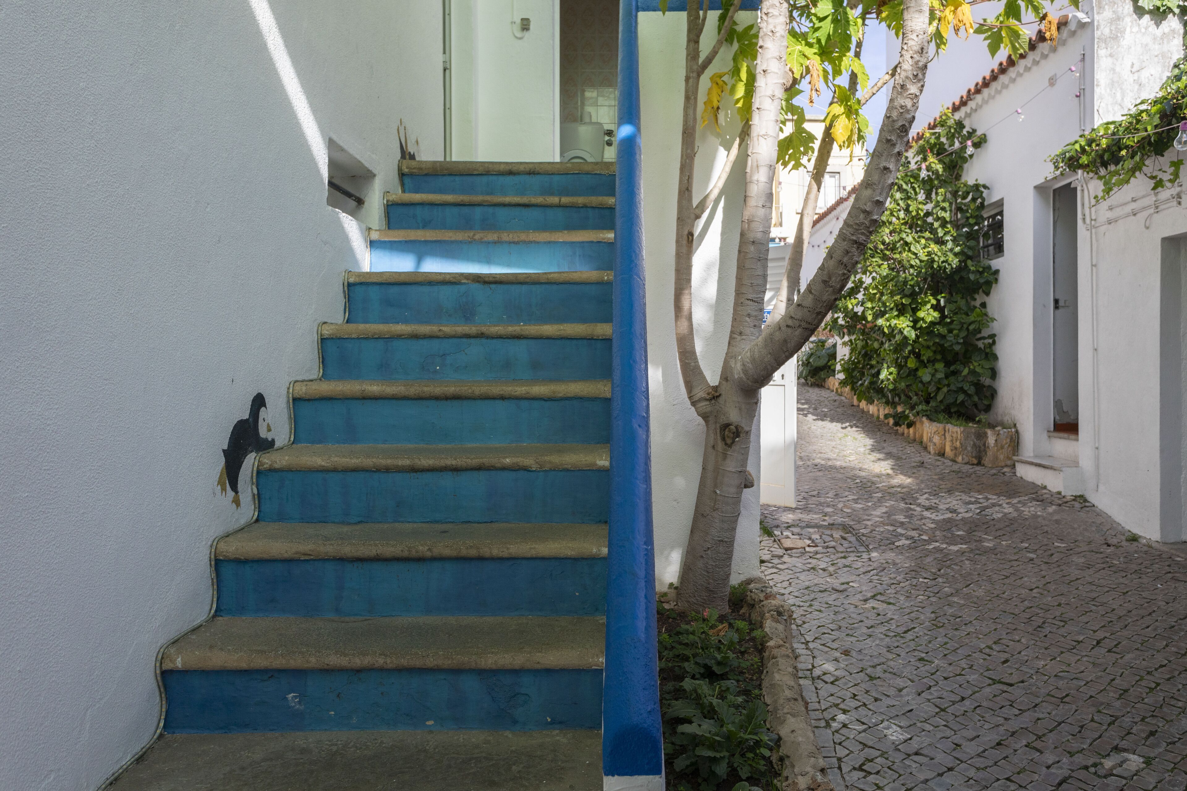 Foto - Le Penguin Hostel