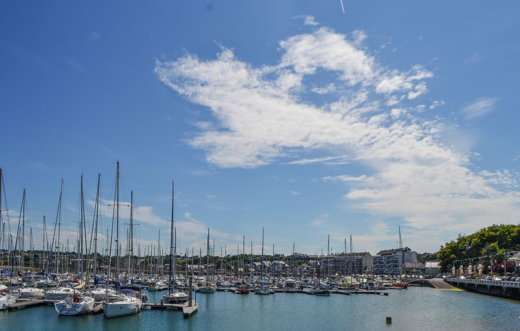 A marina with numerous sailboats docked, a clear sky, and buildings in the background.
