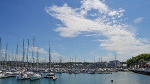 Un port de plaisance où sont amarrés de nombreux voiliers, un ciel dégagé et des bâtiments en arrière-plan.