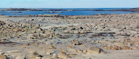 Beach nearby, fishing