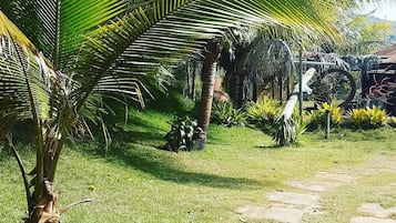 Actividades para niños