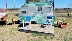 Ein restaurierter Wohnwagen mit einer Holterrasse, zwei blauen Stühlen und einem Hund.