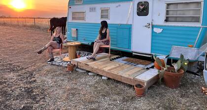 Willie Cleo, the Vintage Holiday Rambler in Walnut Springs