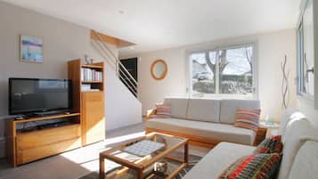 Télévision, lecteur de DVD, livres