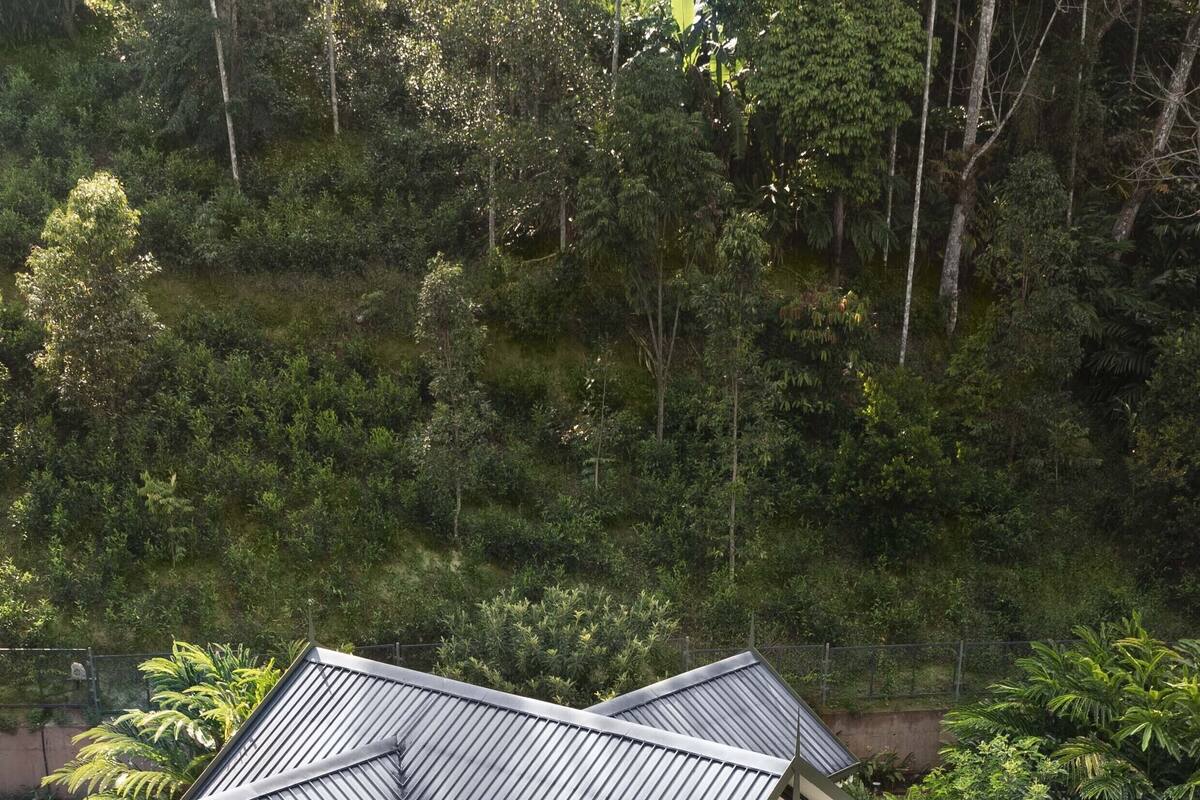 Une maison moderne avec une piscine, entourée d’une végétation luxuriante.