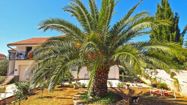 A house with a palm tree in the front yard, a balcony, and a staircase leading to the entrance.
