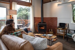 Smart TV, fireplace, books, music library