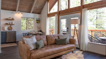 Smart TV, fireplace, books, music library