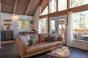 Smart TV, fireplace, books, music library