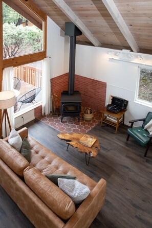 TV connectée, cheminée, livres, médiathèque