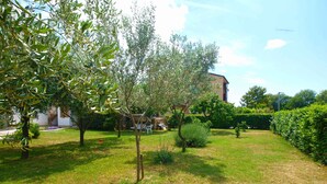 A garden with various trees and a building in the background. - Holiday flat with air conditioning (Valbandon)