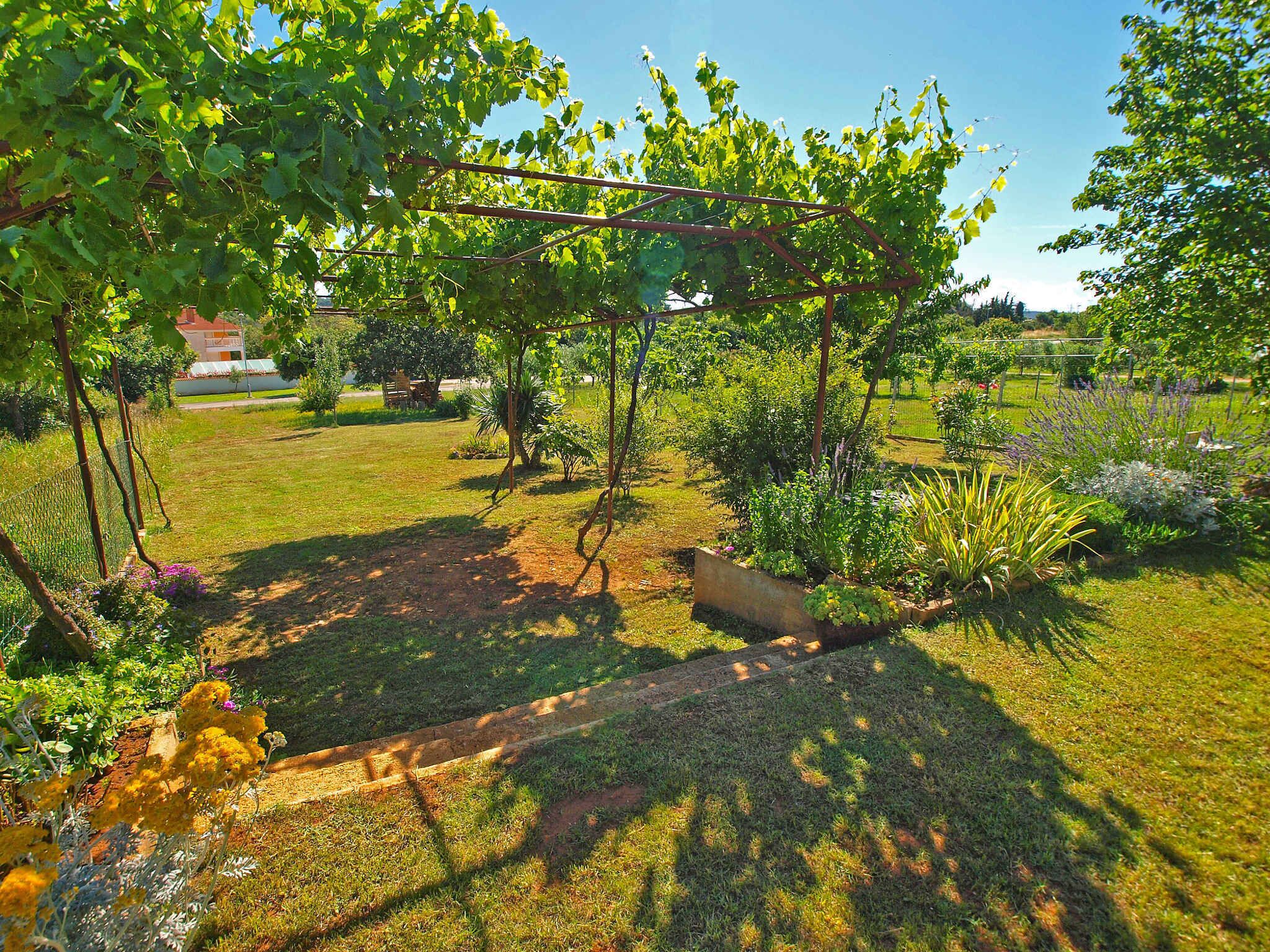 Un jardin agrémenté d’une pergola, de différentes plantes et d’un sentier.