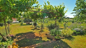 En have med et pergola, forskellige planter og en sti.