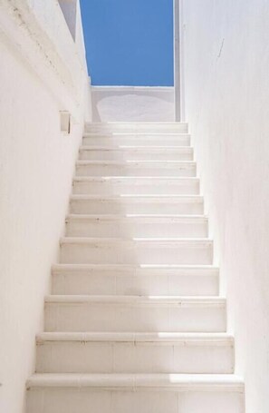 Terrain de l’hébergement 