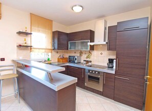 Fridge, microwave, oven, stovetop - Holiday apartment with air conditioning (Labin)