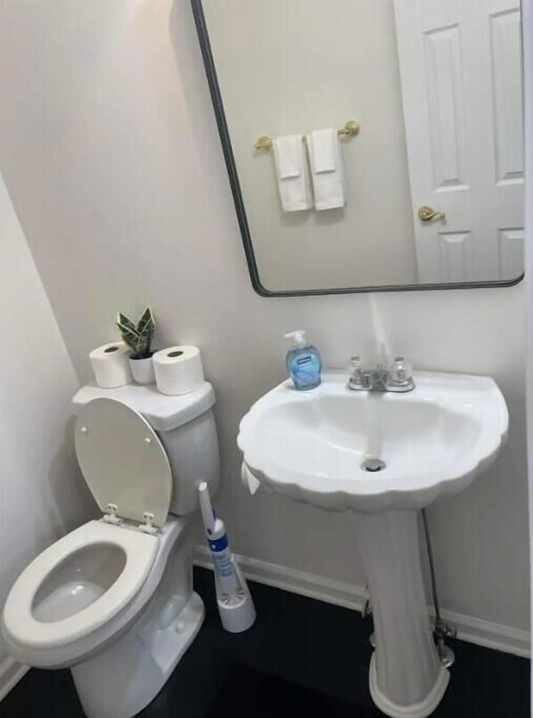 Savon, shampoing, papier toilette