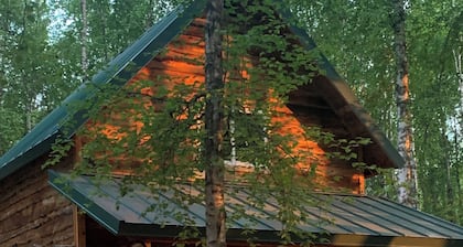 Fantastic Cabin in Willow, Sleeps 3! Full kitchen and bathroom!
