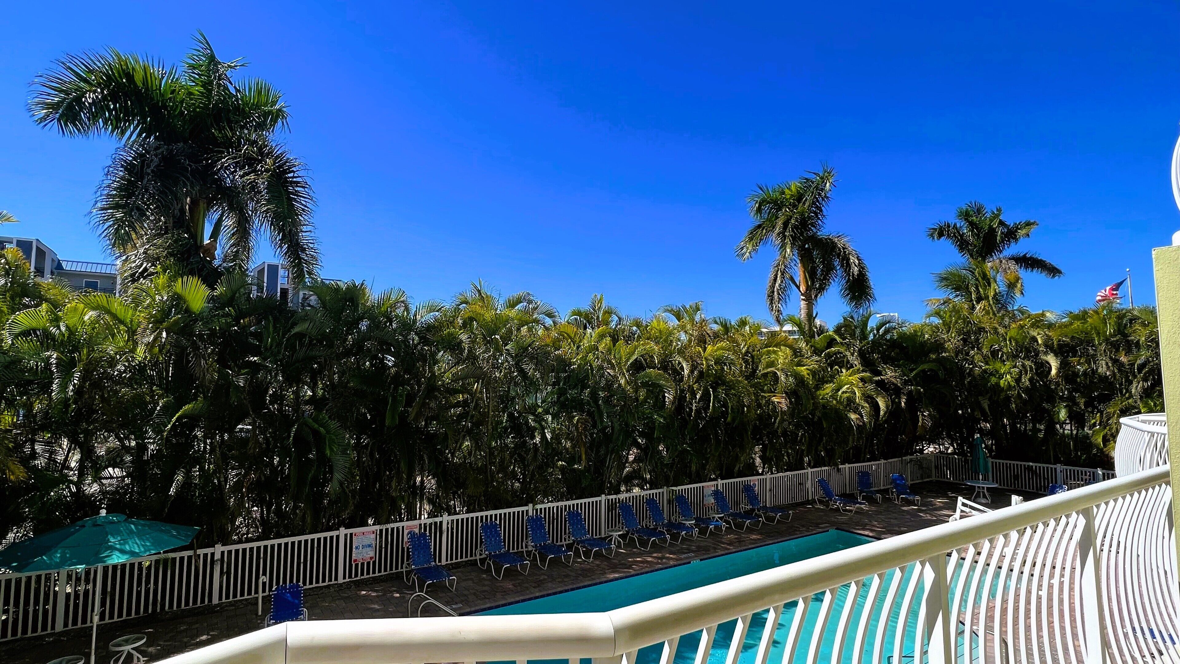 Un área de piscina con sillones reclinables azules y un letrero que indica 'sin marchitez', rodeada de palmeras y un cielo azul despejado.