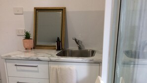 A compact kitchen with a sink, a mirror, and a small potted plant. - Toorak pristine central area pool, minutes to transport, shops, services. (Melbourne)