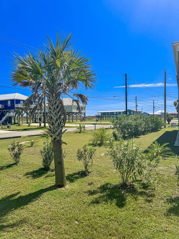 Una zona residencial con una palmera, un césped y casas al fondo.