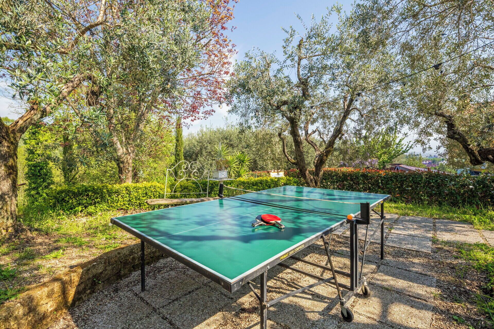Taula de ping-pong en un espai exterior envoltat de vegetació i arbres.