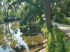 Un sentiero tranquillo lungo il fiume, con alberi e un vialetto sterrato.