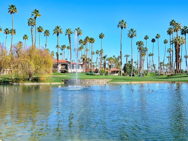 Golf - Monterey County Club Gem, 2 mi from El Paseo!
Near shuttle for Stagecoach/ella (Palm Desert)