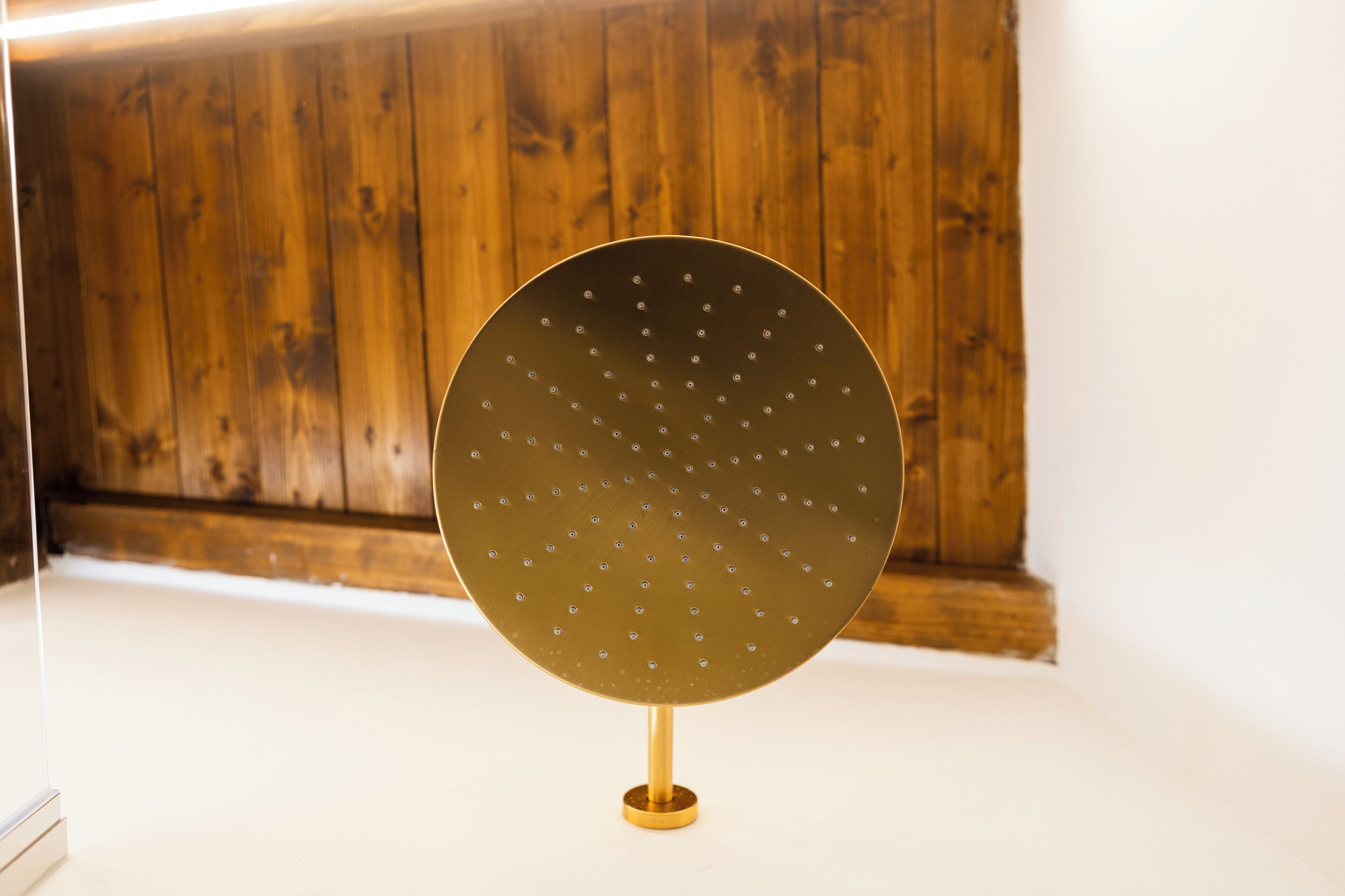 A round, metallic object with a central hole and evenly spaced holes around the perimeter, mounted on a golden stand.