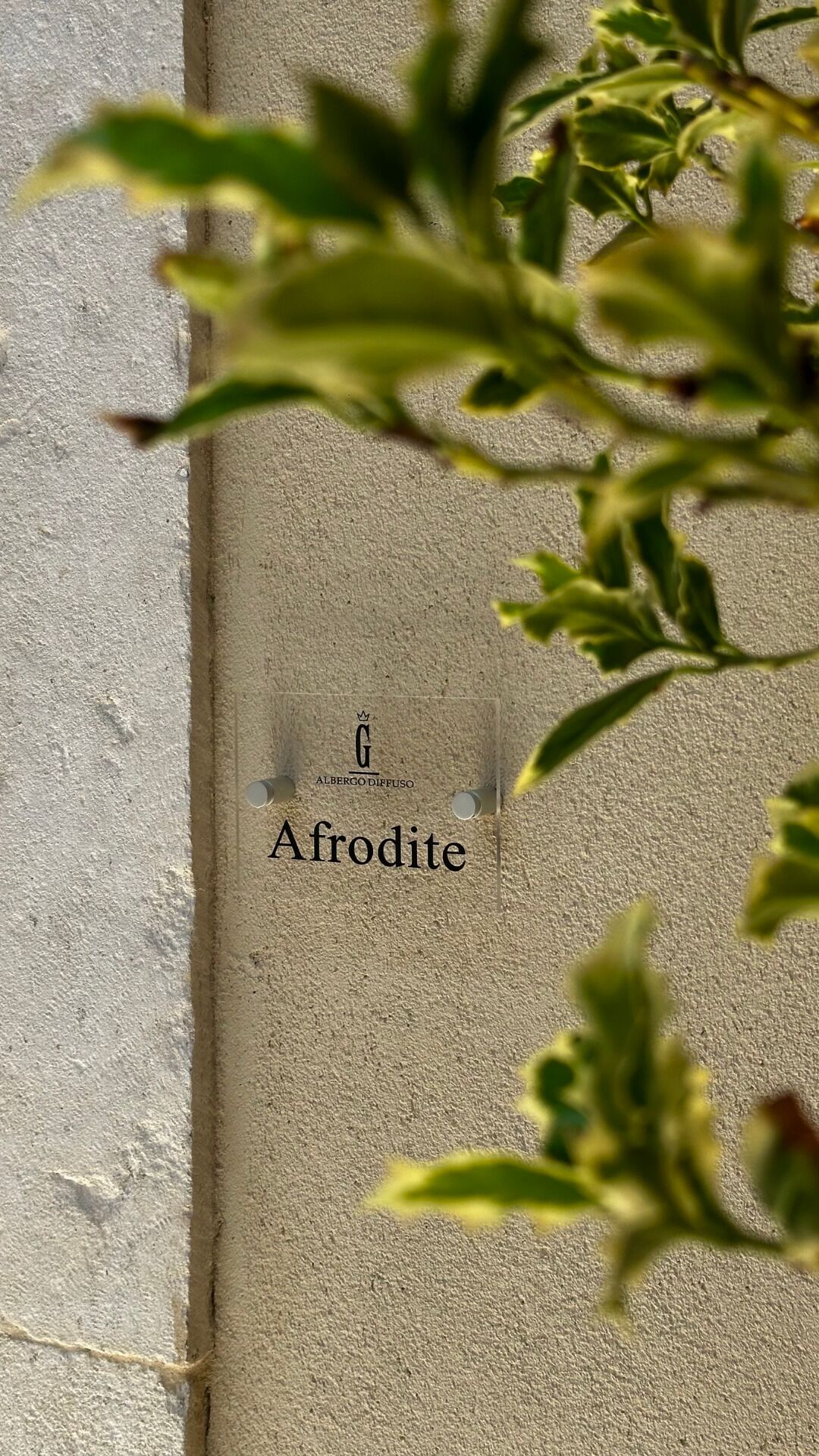A sign with the name 'Afrodite' and the logo 'Albergo Diffuso' on a textured wall.