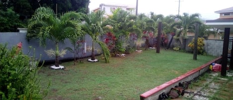 A residential garden with a lawn, palm trees, and a stone pathway.