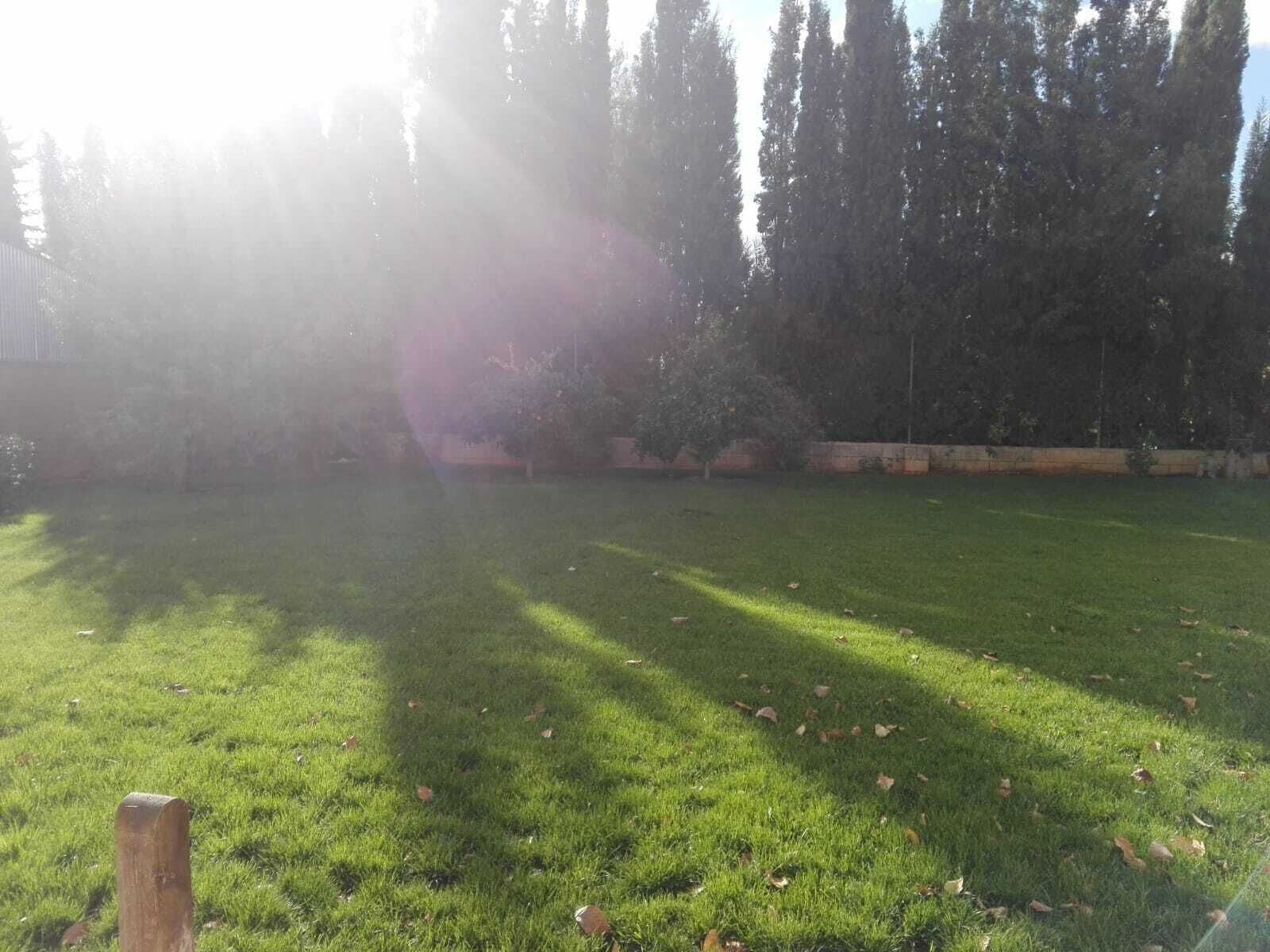 Un espacio al aire libre con césped y árboles al fondo.